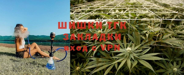 дурь Данков