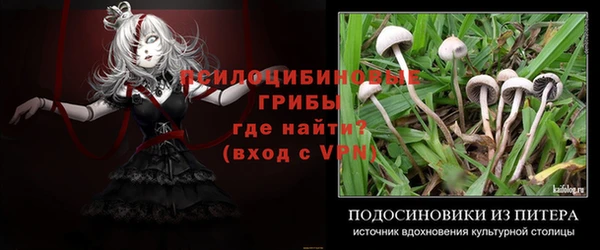 дмт Пролетарск